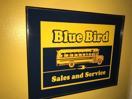 Blue bird school bus - school,