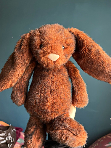 Jellycat walnut bunny - jellycat,