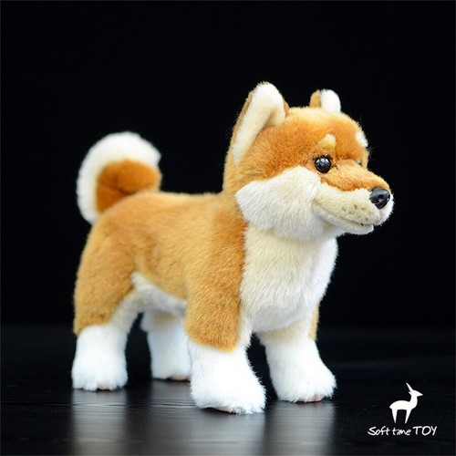Simulation japanese akita - akita, dog