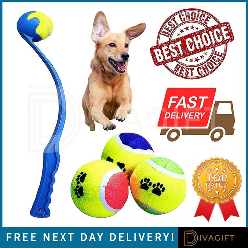 Large 50cm dog ball - large,
