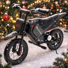 Electric bike for - bike,