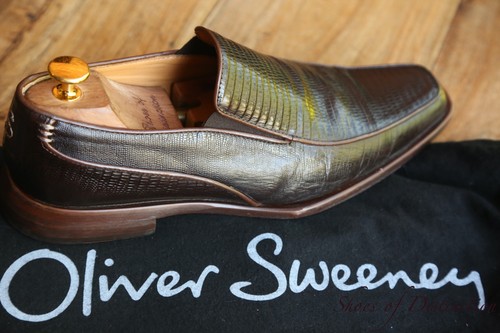Oliver sweeney brown - oliver, lizard