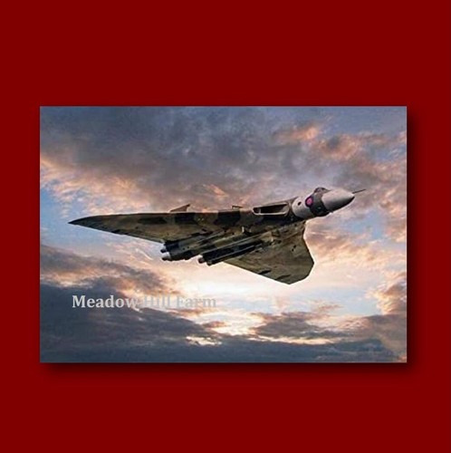 Fridge magnet raf - raf, avro