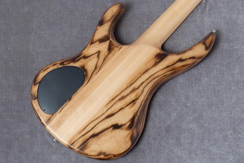 Schecter masaki burned wood - schecter,
