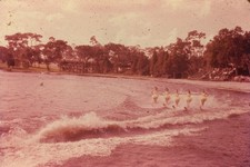C1960 35mm slide border - c1960's,