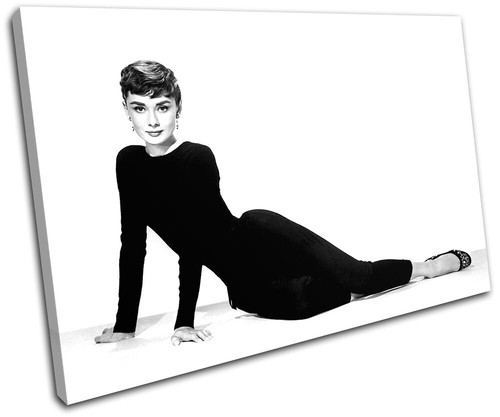 Audrey hepburn iconic - audrey,