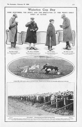 Coursing the waterloo - coursing,