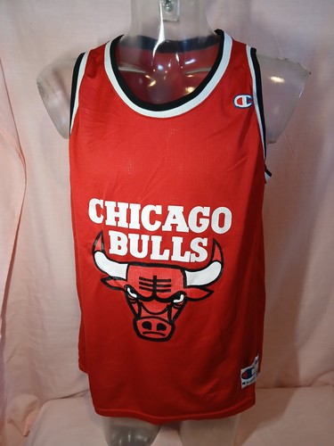 Chicago bulls nba basketball - chicago,