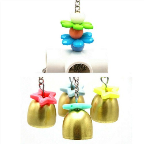 Bird cage biting - bird, for