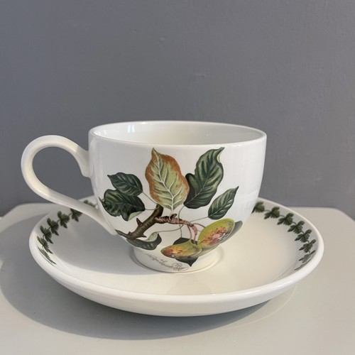 Vintage portmeirion cup saucer - vintage,