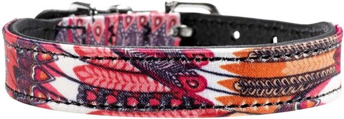 Hunter leather dog - , collar.