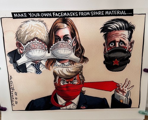 Peter brookes satirical - peter,