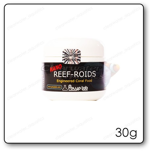 Marine filter food coral - coral, zoas