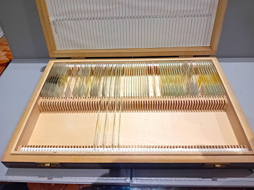 Wooden microscope slide - , w/