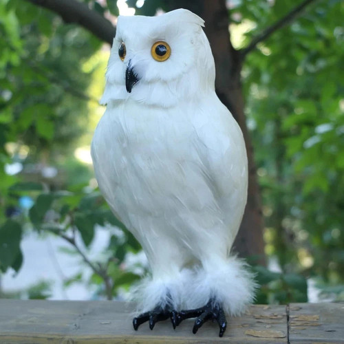 Realistic feathered owl - feathered,
