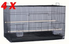 Lot large breeding - of, 30"