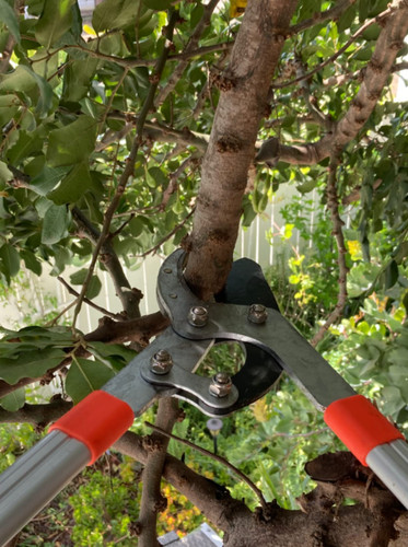 Extendable anvil loppers - extendable,