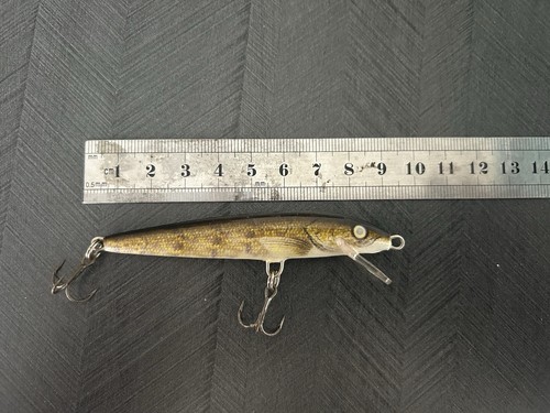 Rapala floating minnow lure - rapala,