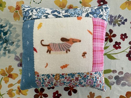 Dachshund sausage dog - dachshund, in