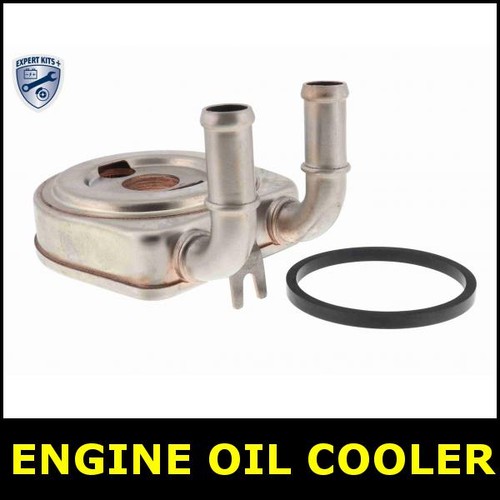Engine oil cooler - engine, peugeot
