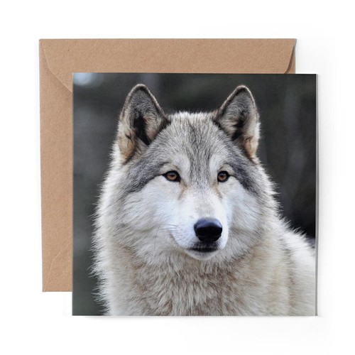 Blank greeting card white - 1,