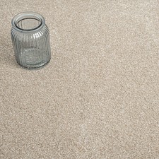 Beige Luxury 17mm Saxony