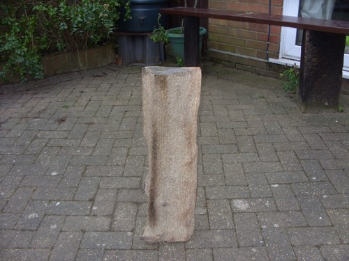 Large driftwood - large,