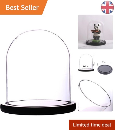 Stylish bell jar display - display, dome