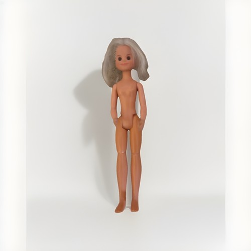 1973 mattel the sunshine - 1973,