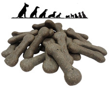 Charcoal Bones Pointer Dog