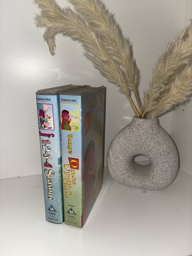 Barney the dinosaur vhs tapes - the,