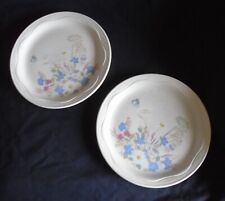 Poole Pottery Springtime 2 x 9" Dinner  / Salad Plates good condition