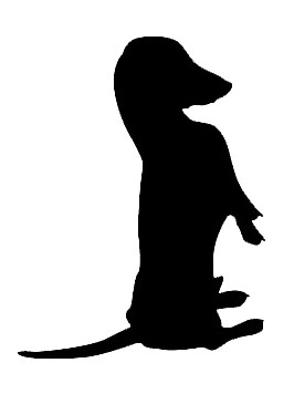 Sausage dog dachshund sitting - dog,