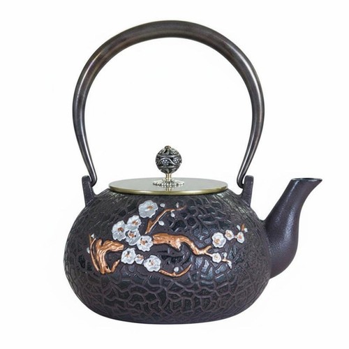 Japanese cast iron teapot - japanese,