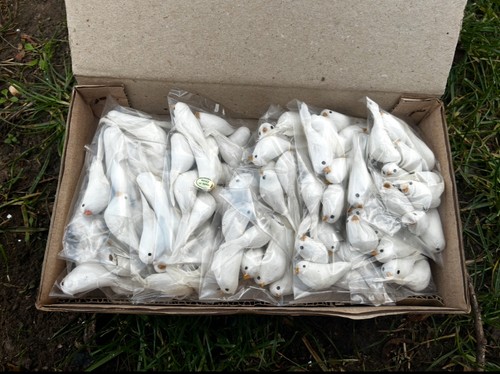 Joblot 120 white feathered - white,