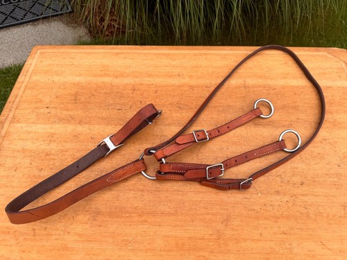 Leather western horse training - leather,
