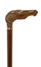 Brown Horse Head Beech Walking