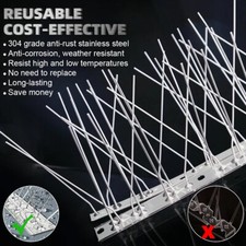 11FT Stainless Steel Pigeon