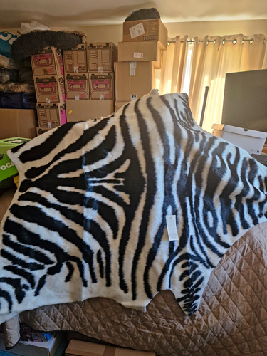 Zebra print faux - faux, animal