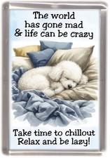 Poodle White Dog Fridge Magnet