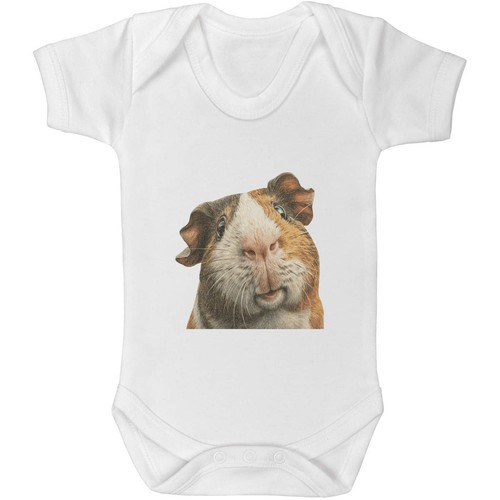 Funny guinea pig - pig', baby