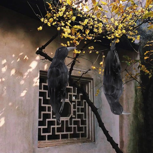 Realistic hanging crow - hanging,