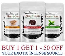200 Charcoal Incense Cones 1"
