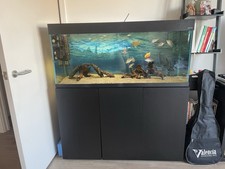 Aquael Opti 240l Aquarium Fish Tank 4ft with Lights. Excellent Condition