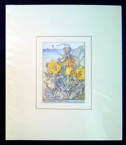 Barker cicely mary mounted - mary,