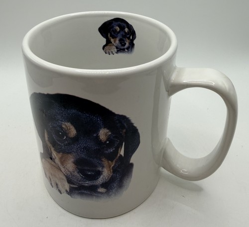Rottweiler puppies kittys 16 - rottweiler,,