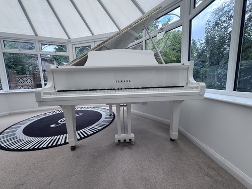 Yamaha baby grand - baby,