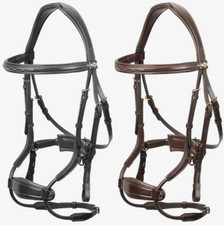 LeMieux Kudos Clear Arc Bridle