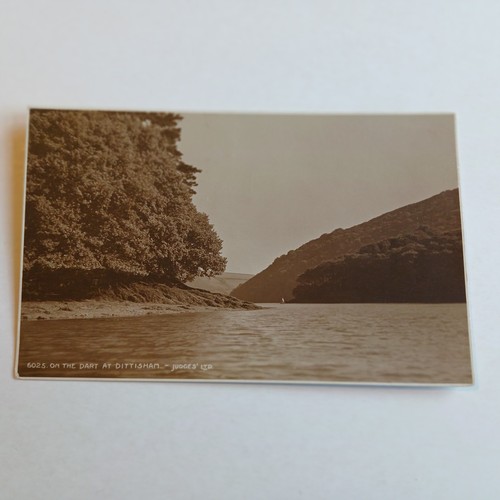 The dart dittisham - at,