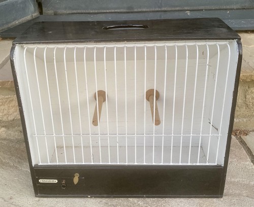 Vintage wooden canary - wooden,